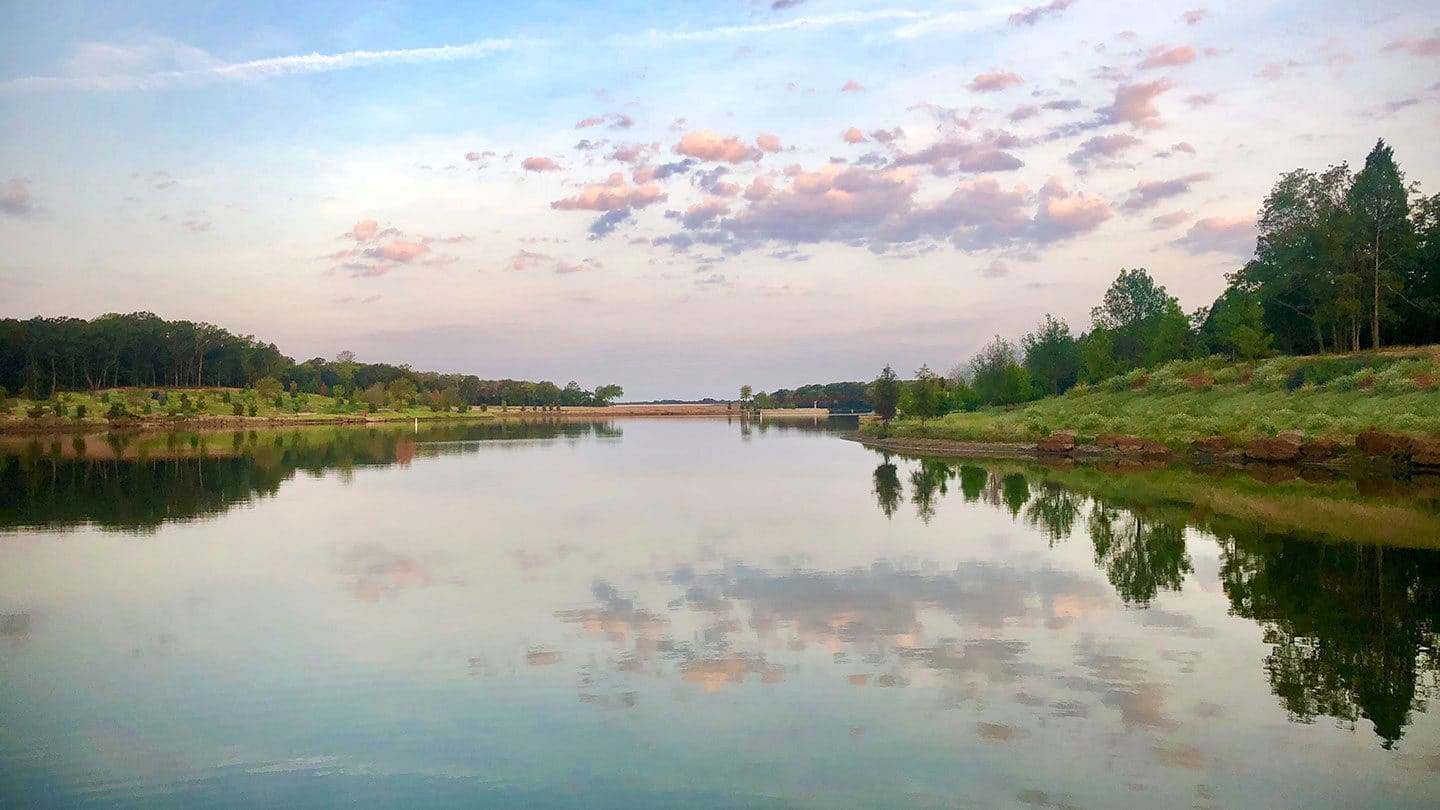 shoreline view of calm water at Long Cove at Cedar Creek Lake