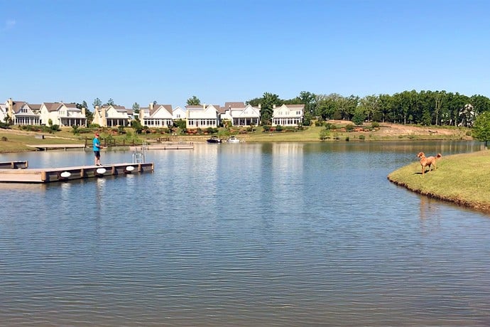 man plating with dog on the lake