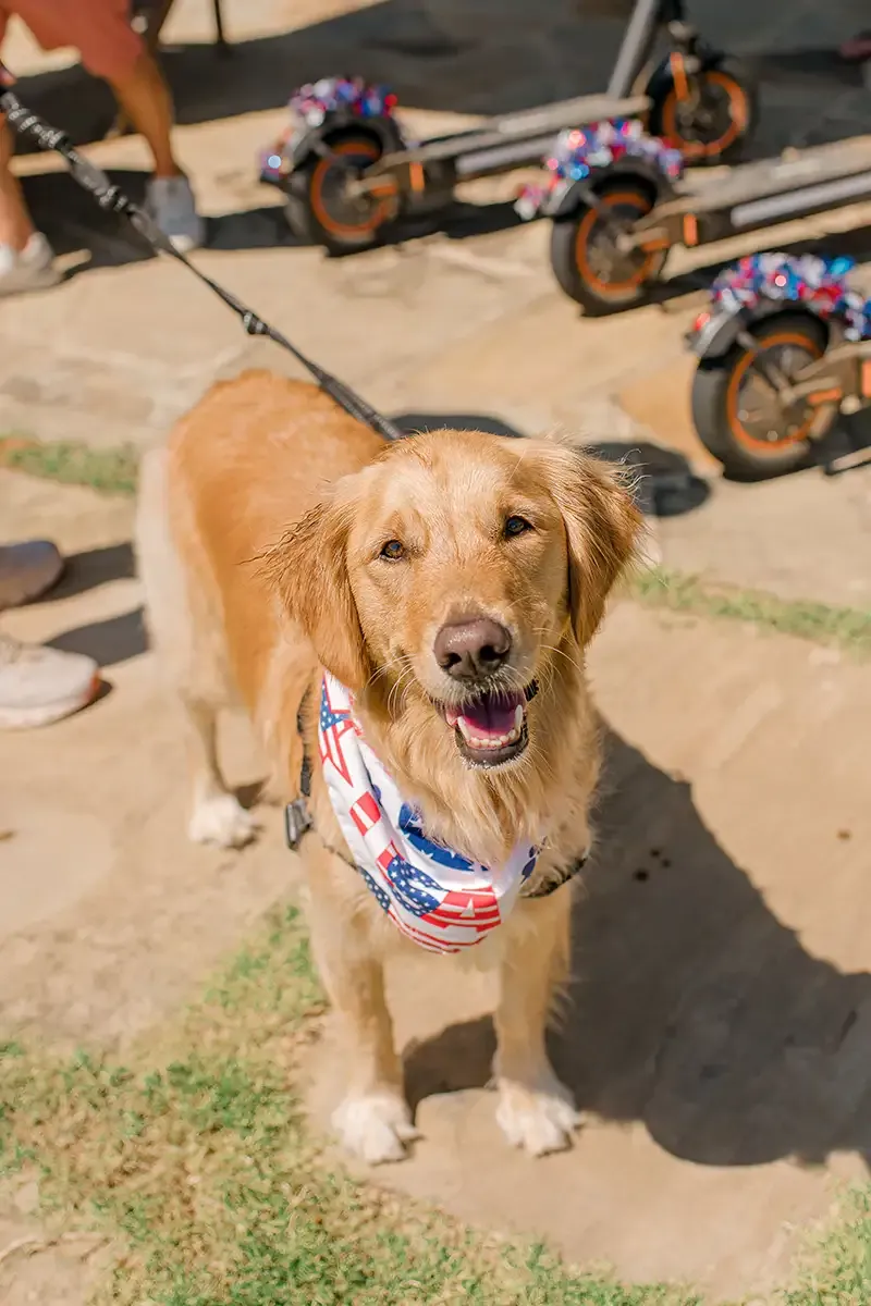 Long cove lifestyle gallery portrait 19