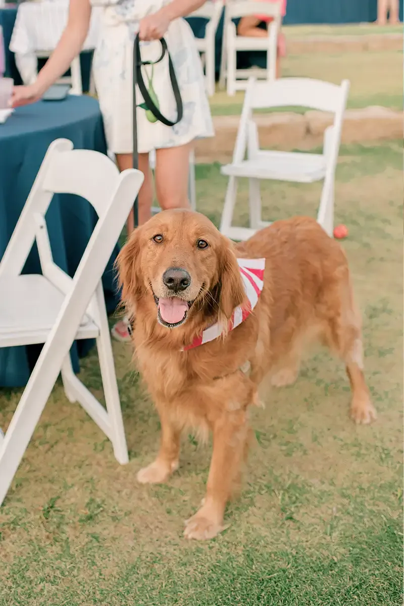 Long cove lifestyle gallery portrait 26