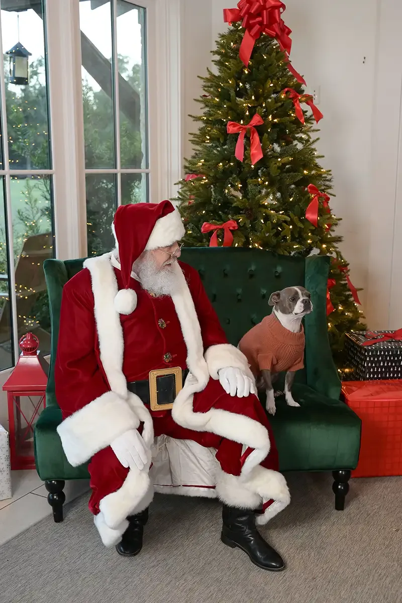 Long cove lifestyle gallery portrait 37