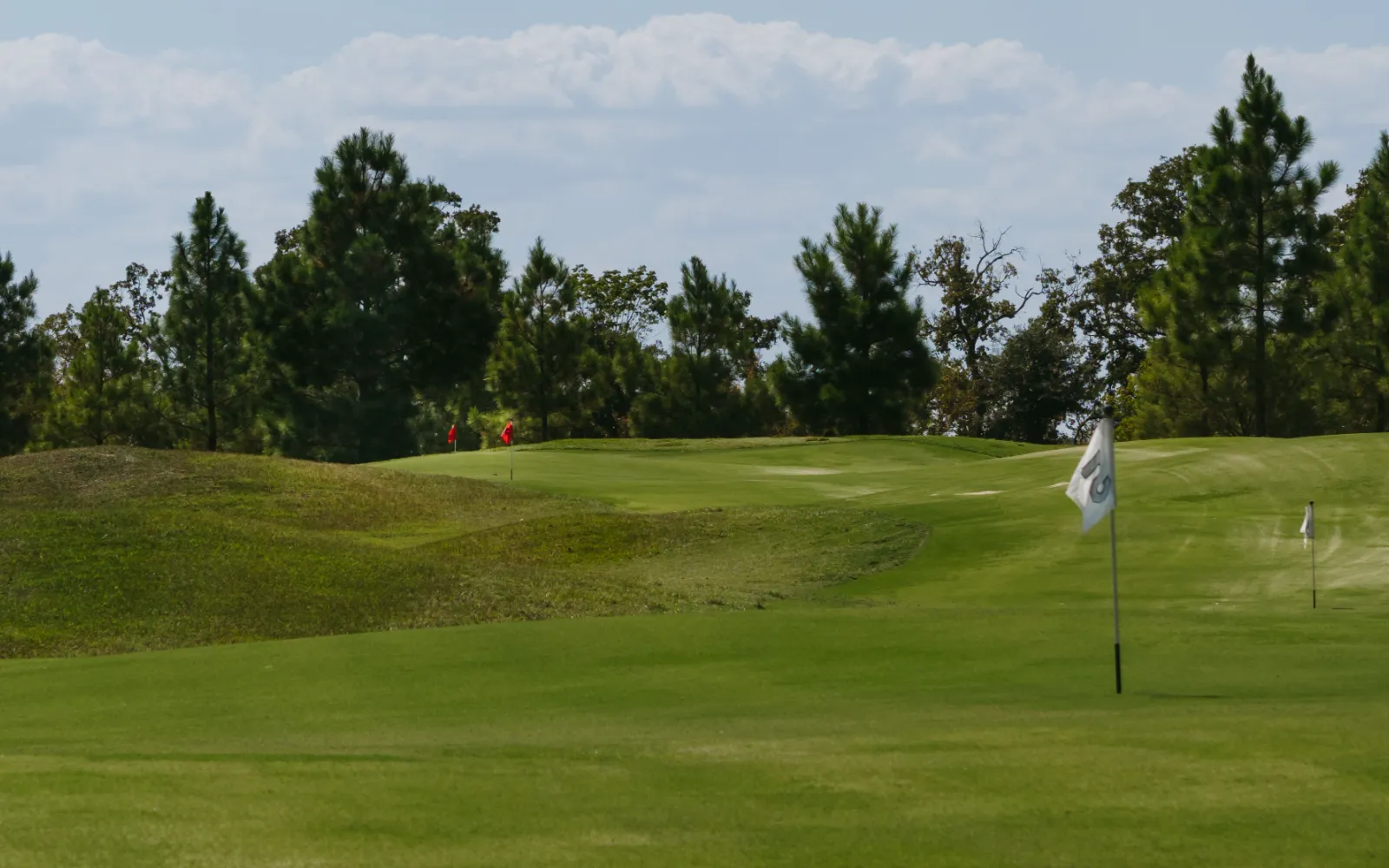 Long cove lifestyle golf landscape 80 06