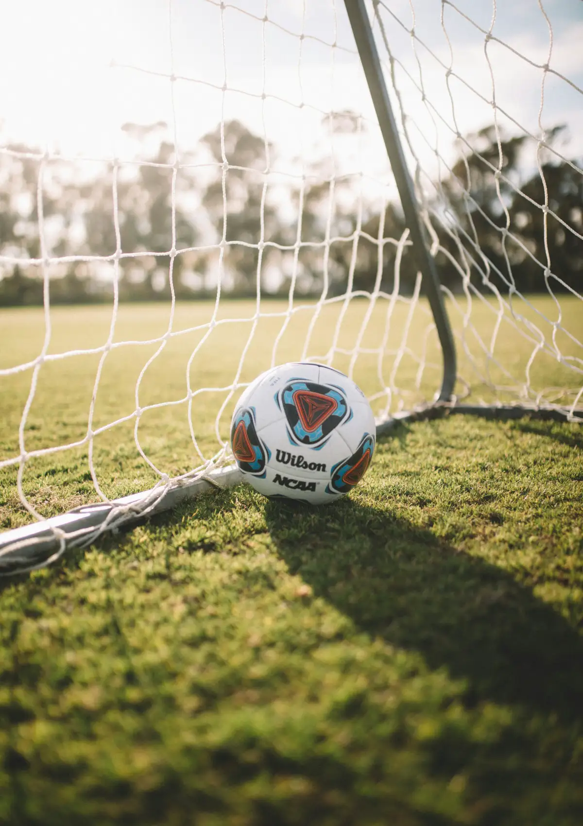 Long cove lifestyle stock amenities portrait 63 02