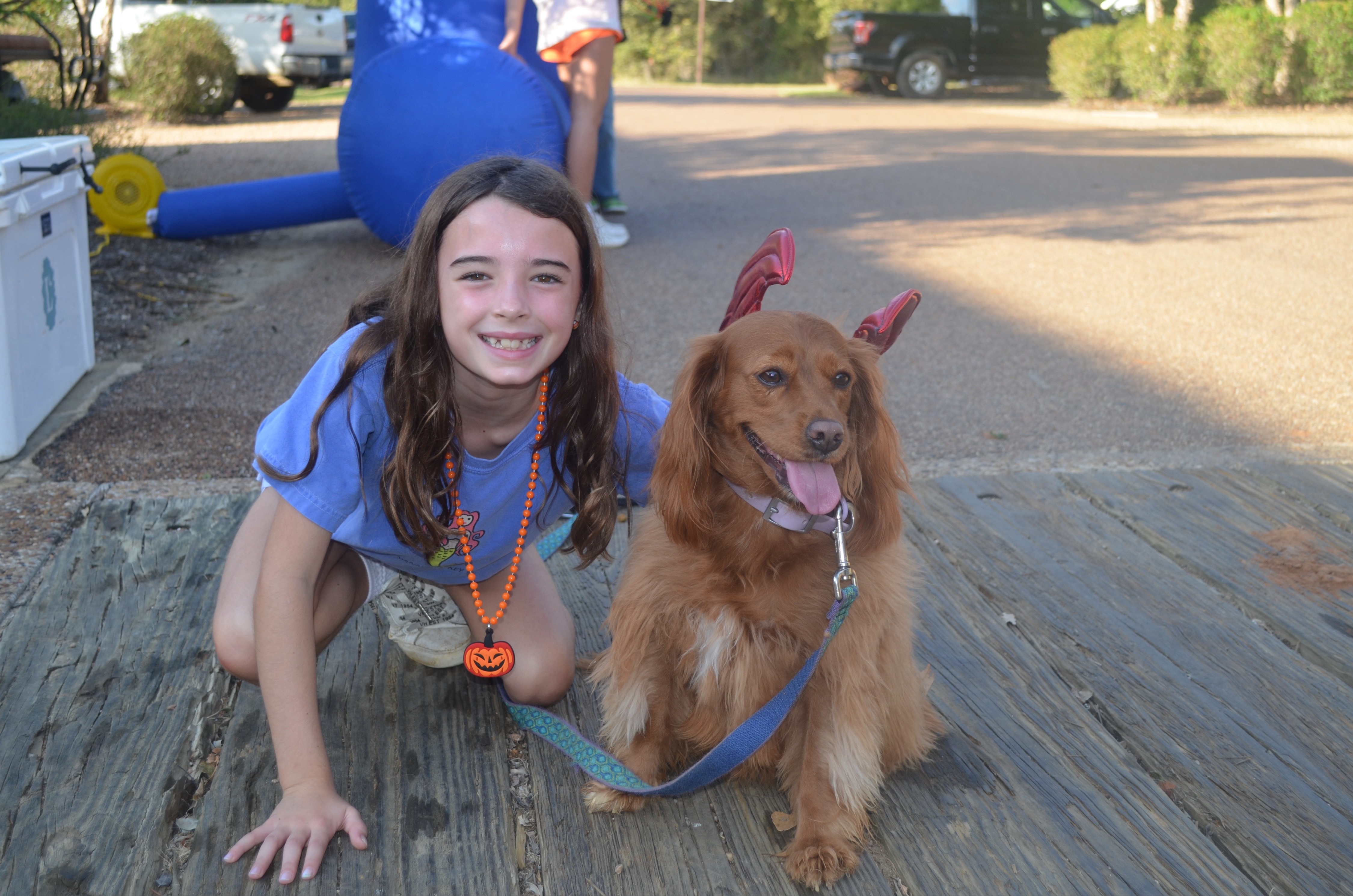 C411 g2318205 t1758398191