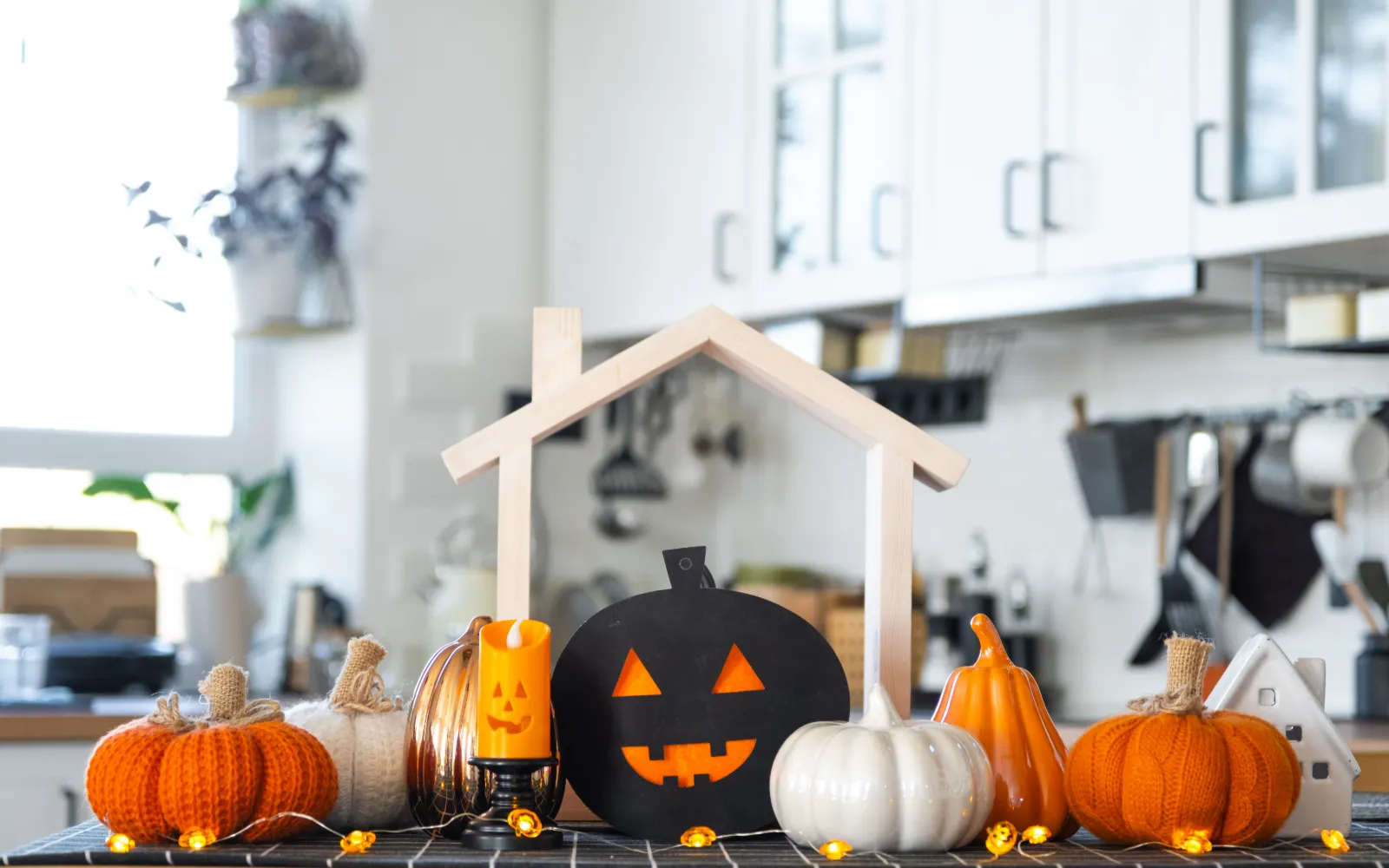 Long cove halloween stock landscape 01