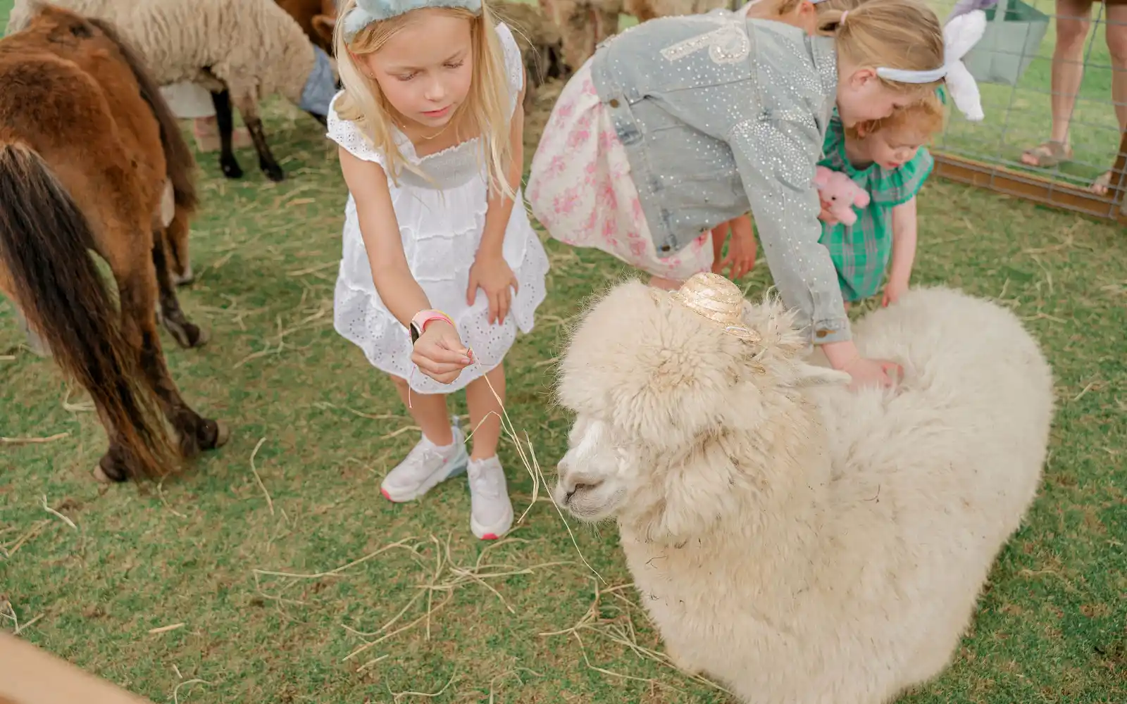 Long cove lifestyle events easter2025 landscape40 16