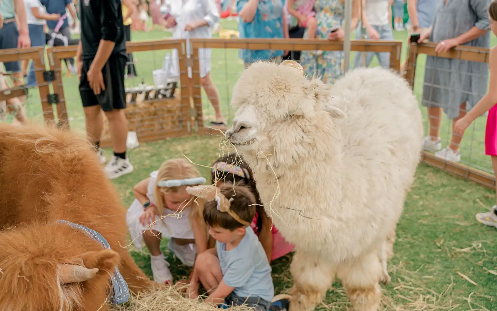 Long cove lifestyle events easter2025 landscape50 13