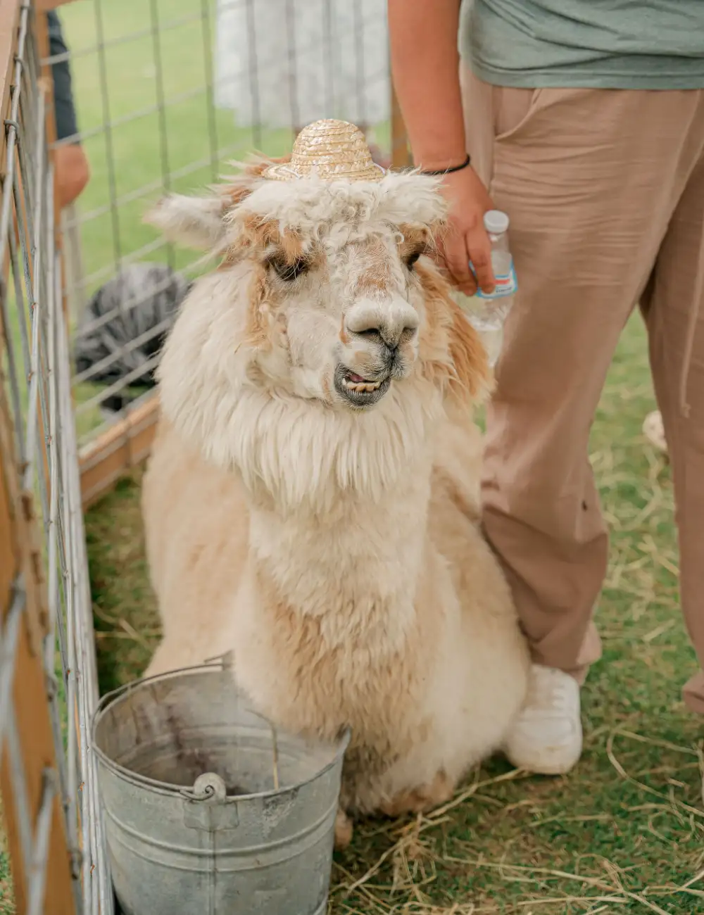 Long cove lifestyle events easter2025 portrait 36