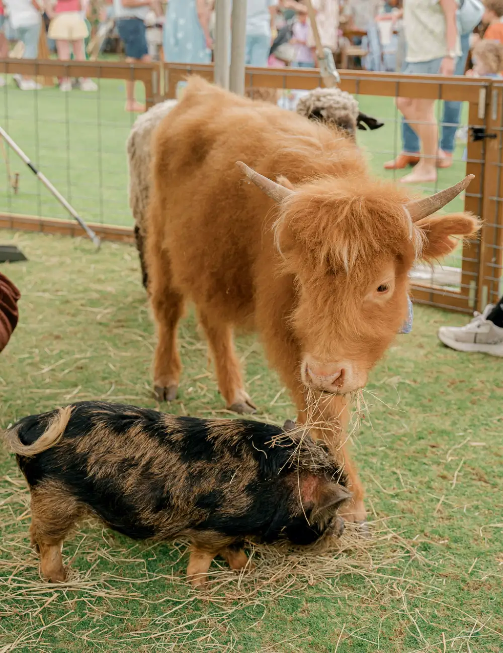 Long cove lifestyle events easter2025 portrait 37