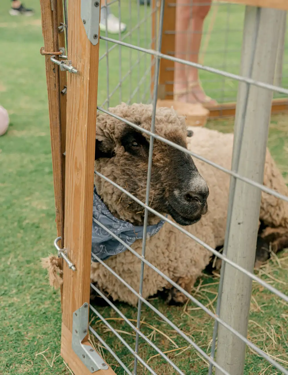 Long cove lifestyle events easter2025 portrait 45