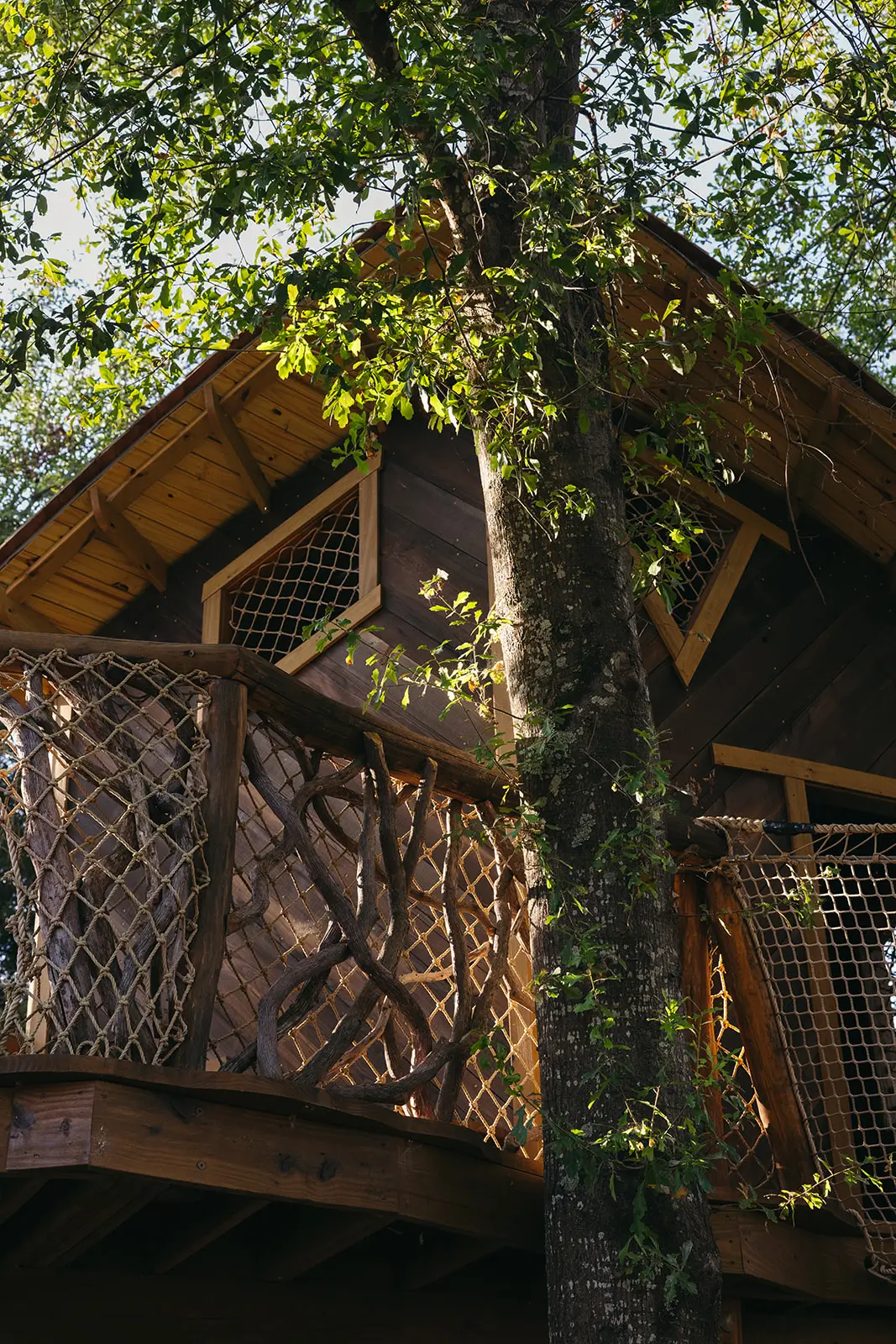 Longcove adventurepark 10