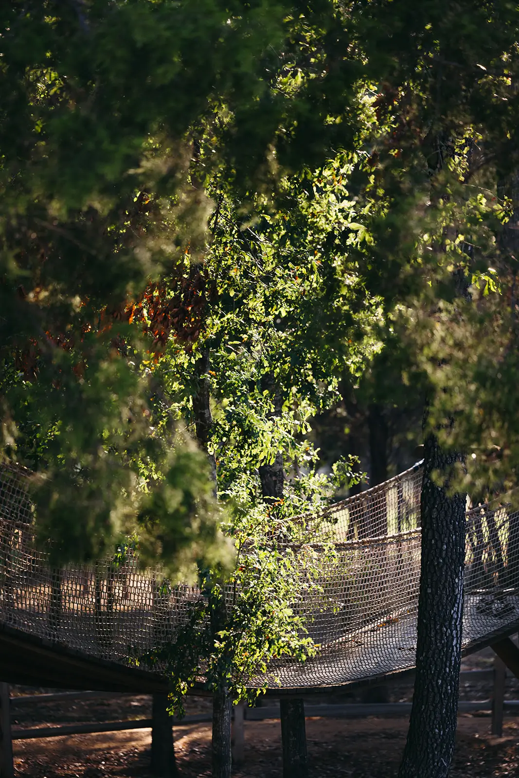 Longcove adventurepark 12